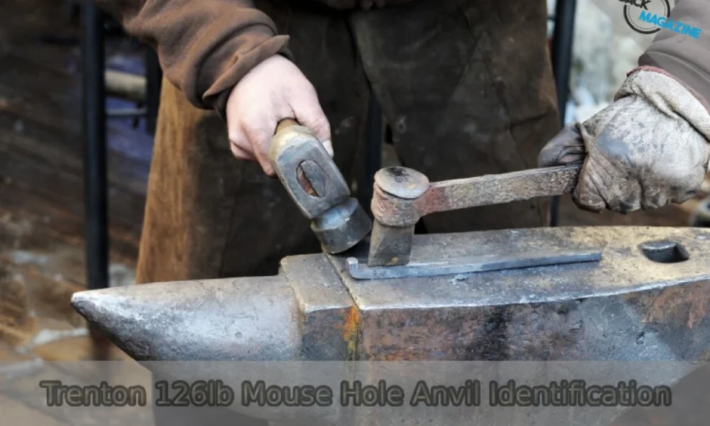 Trenton 126lb Mouse Hole Anvil identification guide for blacksmiths and collectors.